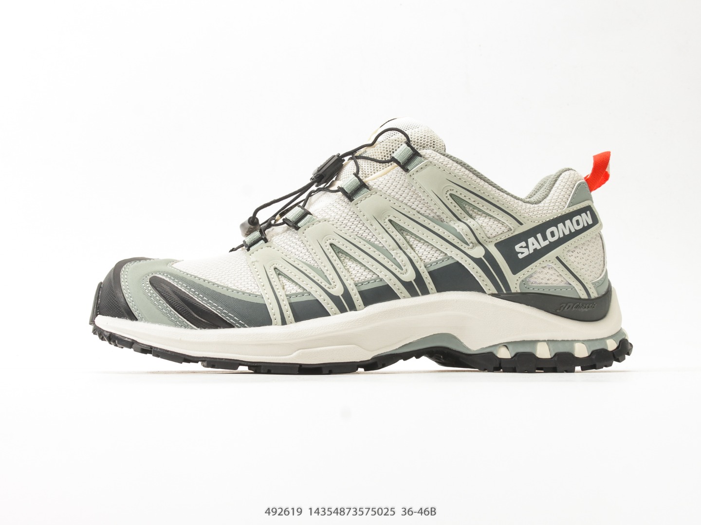 Salomon Xapro 3D Low Trail Sneaker