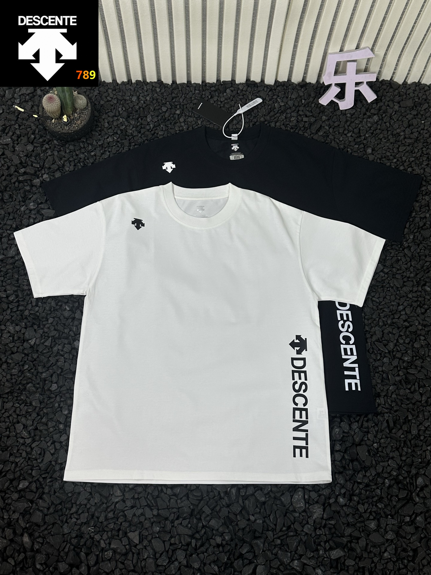 Descente Logo T-Shirt