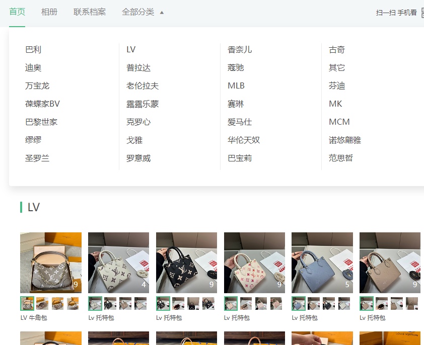 Bags Catalogue Album