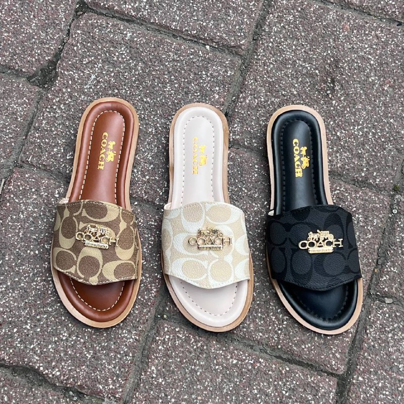 Women's Shoes — TGHSFR33ici5