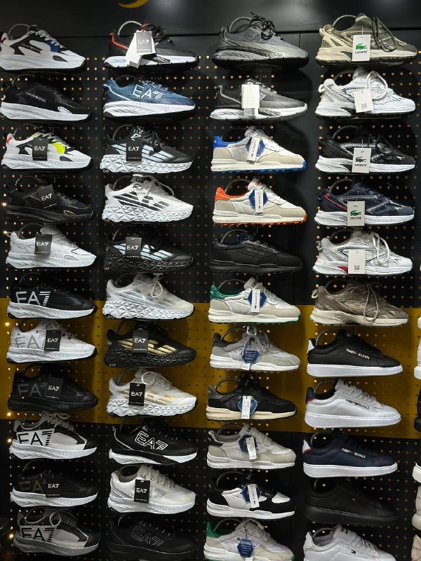 Men's Sneakers — TGidlnmmdpxn